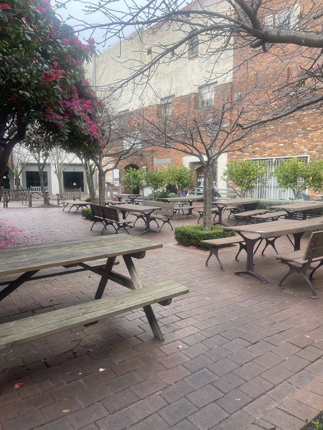 Outdoor tables and benches in the courtyard